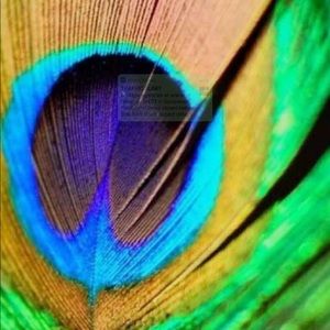 Meet your Posher, Denise